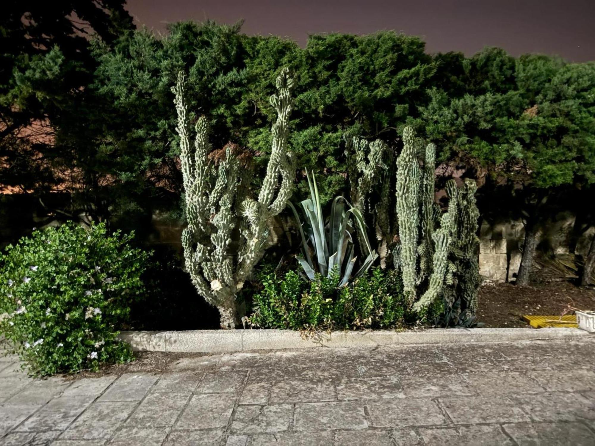 Villa Torretta - Mare Salento Marina di Lizzano Exteriér fotografie