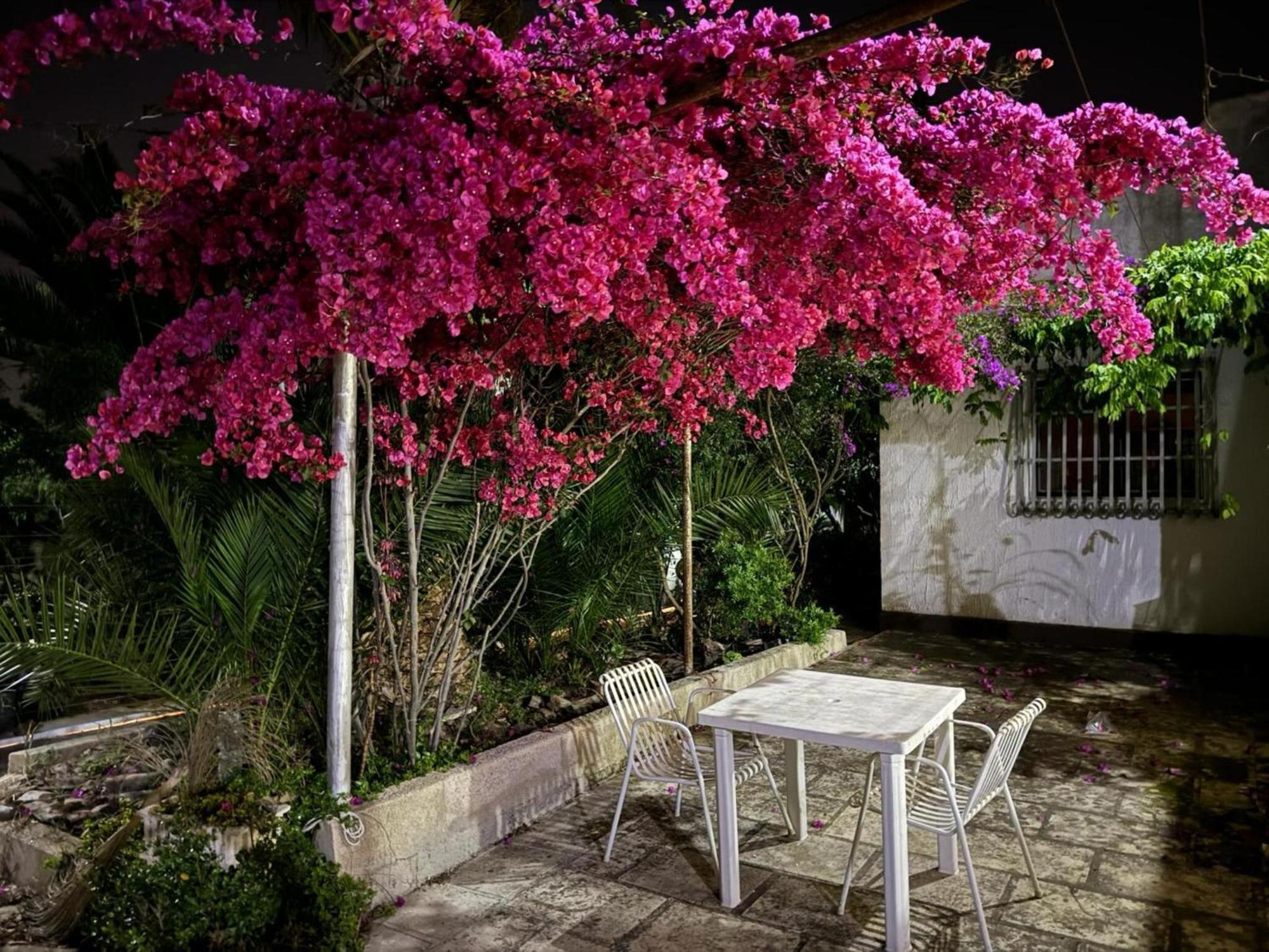Villa Torretta - Mare Salento Marina di Lizzano Exteriér fotografie